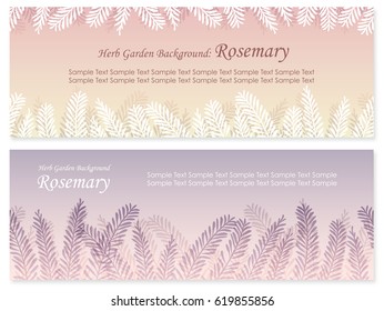 A set of two vector background illustrations of rosemary. Both illustrations are designed so that you can connect the image and create seamless patterns. 
