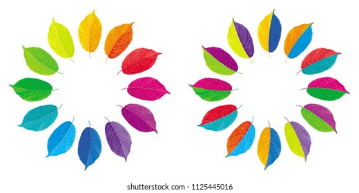 Set of two vector color wheels made from multi-colored leaves