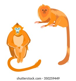 Set of two vector golden monkey. In the left corner is Rhinopithecus roxellana. In the right corner is Leontopithecus rosalia. It can be used for Chinese calendar.
