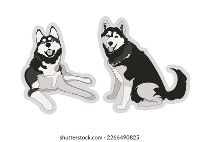 Set of two vector Husky dogs isolated on white background. Vector illustration.