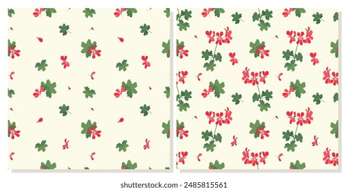 Set of two vector seamless patterns with geranium flowers