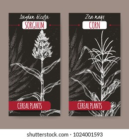Set of two vintage labels with Sorghum bicolor and Corn aka Maize or Zea mays sketch on black. Cereal plants collection. Great for bakery, agriculture, farming design.