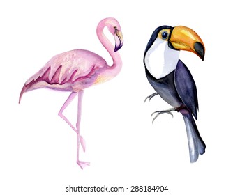 Set of two watercolor tropical birds.  Pink flamingo and toucan. Vector illustration