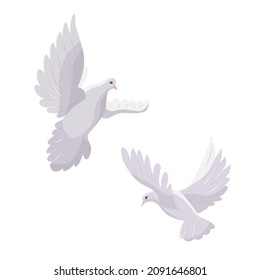 Set two white dove flying isolated on white background. Peace symbol. Vector illustration.