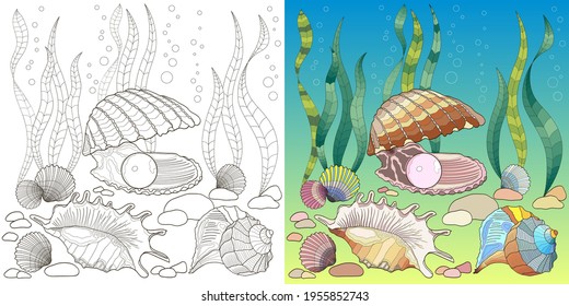 set of two zentangle pictures with sea shells in black and white and color