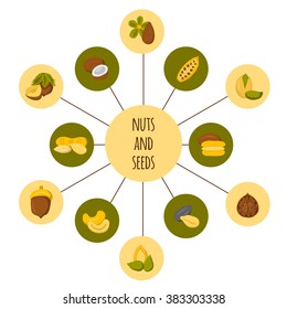 Set of type nuts and seeds cute cartoon icons. Healthy snack, diet food concept. Allergic products. Source of vegan protein. Raw organic food design for store or market