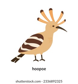 Set of types of birds. A hoopoe bird with a distinctive head.