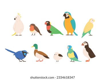 Set of types of birds. simple hand drawn style bird illustration