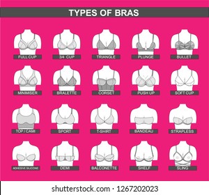 Set Types Female Bras Such Full Stock Vector (Royalty Free) 1267202023