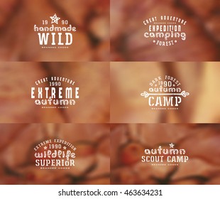 Set of typographic  compositions for t-shirt. Autumn blurred backgrounds