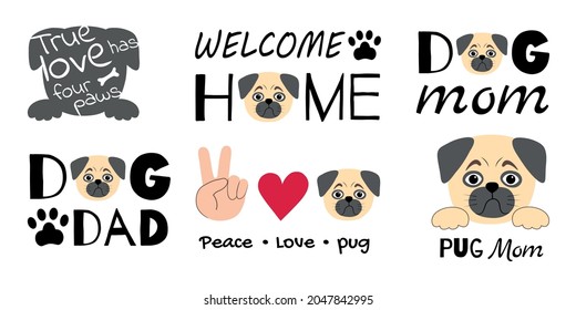 A set of typographic prints with a cute sad pug. Vector collection for interior design or clothing. A simple character in a flat style with text