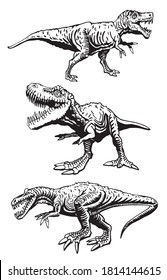 Set of tyrannosaurses on white background, vector illustration