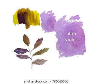 Set of ultra violet and yellow abstract spots with violet twig with leaves. Watercolor hand drawn illustration. Trendy color.