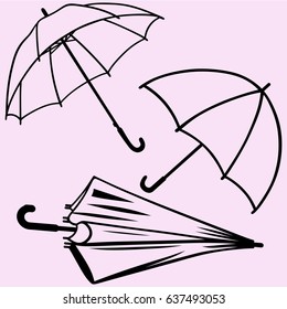 set of umbrella vector silhouette isolated