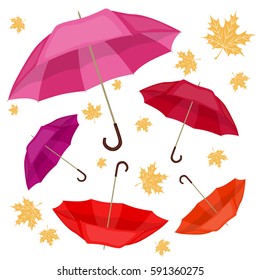 Set of umbrellas on a white background. Maple leaves
