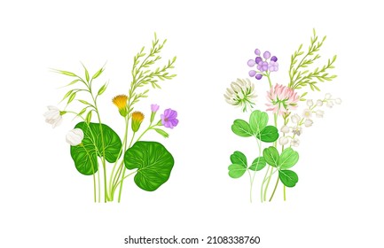 Set of ummer blooming wildflowers set. Dandelion, clover, lily of the valley. Beautiful bouquets of meadow flowers, botanical natural floral design vector illustration