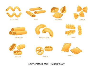 Set of Uncooked italian pasta cuisine staples vector illustration isolated on white background