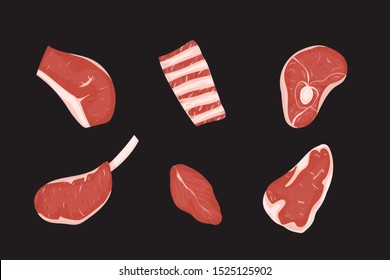 Set of uncooked meats cuts. Vector Illustration. Black background.