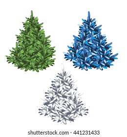 A set of undecorated Christmas tree isolated on white background. Vector illustration.