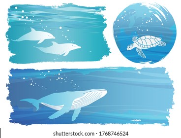 Set Of Undersea Background Illustrations With Dolphins, A Turtle, and A Whale Isolated On A White Background, Vector Illustration. 