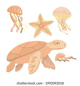 Set of underwater animals vector illustration. Starfish, jellyfish, sea turtle isolate on white background.