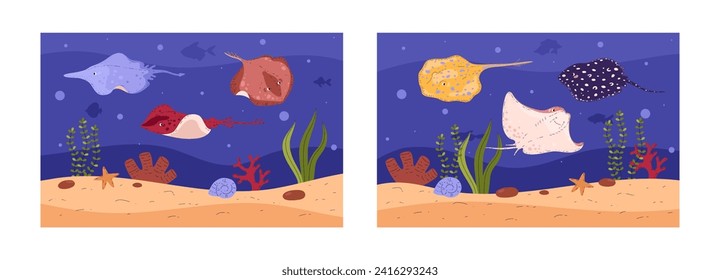 Set of underwater banners with swimming stingrays above seafloor with starfish and plants. Marine wildlife scene. Flat vector illustration.