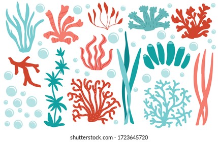 Set underwater bright color corals  Reef nature marine elements  Aquatic vector illustration