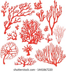 Set of underwater coral reef plants. Tropical coral elements collection