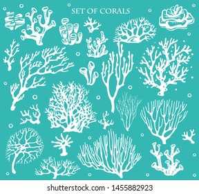 Set of underwater coral reef plants. Tropical coral elements collection