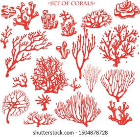 Set of underwater coral reef plants. Tropical coral elements collection