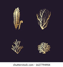Set of underwater coral reef plants. Tropical coral elements collection golden gradient on dark luxury background.