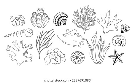 Set of Underwater coral reef and seashells black contour isolated on white background. Marine undersea Thin line elements. Under water flora and fauna for coloring. Flat vector illustration