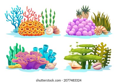 Set underwater coral reefs
