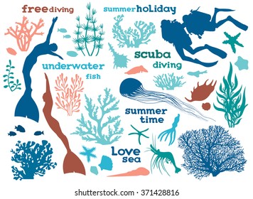 Set of underwater creatures, seaweed and divers. Vector illustration with isolated silhouette of ocean elements.