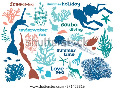 Set of underwater creatures, seaweed and divers. Vector illustration with isolated silhouette of ocean elements.