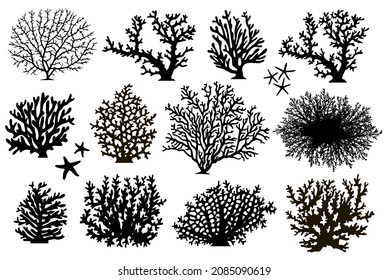 Set of underwater items. Vector illustration isolated on white background. Set of corals, starfish.