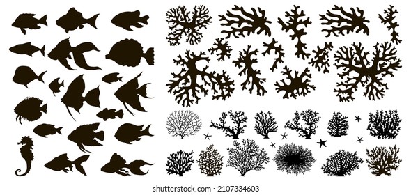 Set of underwater objects. Set of fish and corals vector silhouettes black isolated on white background in monochrome style.