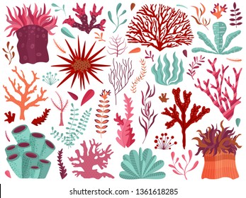 Set Of Underwater Ocean Coral Reef Plants, Corals And Anemones. Aquatic And Aquarium Seaweeds, Tropical Coral-reef Elements. Marine Algae, Sea Wildlife, Sponges And Seagrasses Elements Collection.