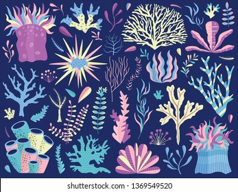 Set of underwater ocean coral reef plants, corals and anemones. Aquatic and aquarium seaweeds, tropical coral-reef elements. Marine algae, sea wildlife, sponges and seagrasses elements collection.