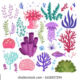 Set of underwater ocean coral reef plants, corals. Tropical coral-reef elements, aquatic and aquarium seaweeds. Marine algae, jellyfish, fish, sea wild life, sponges and seagrasses elements collection