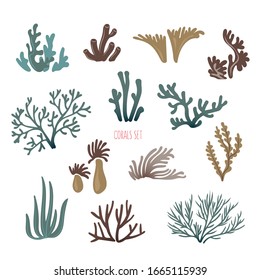 Set of underwater ocean coral reef plants. Vector collection. EPS 10