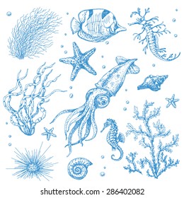 A set of underwater plants and animals. Hand drawn sketch of starfish, shells, squid, fish, hippocampus and algae.