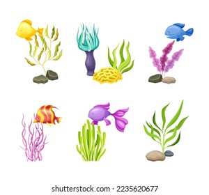 Set of underwater seaweeds, algae and small fishes set. Marine underwater life vector illustration