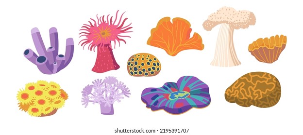 Set of Underwater Vegetation, Seaweeds, Plant Leaves, Isolated Marine Or Aquarium Grass. Ocean And Undersea Algae Water Life, Exotic Aquatic Sea Weed Spices. Cartoon Vector Illustration, Icons