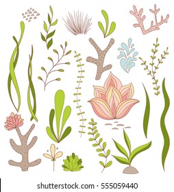 Set of Underwater Whimsical Plants - Seaweed, Coral, Flowers. Isolated on White. Vector Illustrations.