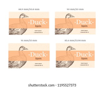 Set of uniqe business card for duck farm. Duck silhouette. Vector. 4 card size options. Isolated on background.