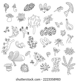 Set of unique fantastic strange plants. Doodle style drawings. Hand drawn vector illustration.