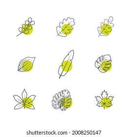Ilustración de iconos de hoja - con círculo de color verde - iconos únicos