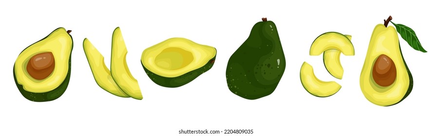 Set of urgent avocados. Pieces, halves and whole fruits with leaves and pit. Vector graphics.