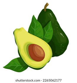 Set of urgent avocados. Pieces, halves and whole fruits with leaves and pit. Vector graphics.	